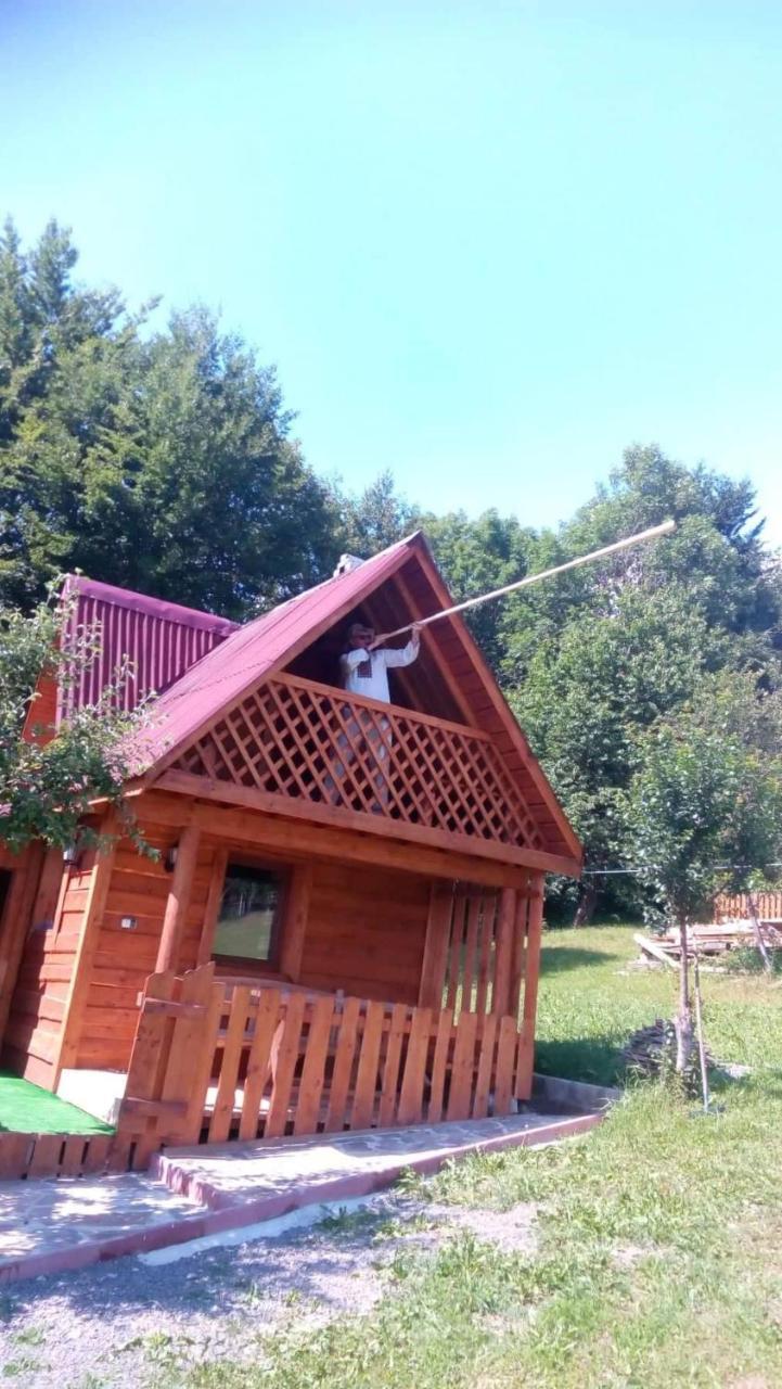 Трембіта Рахів Екстер'єр фото